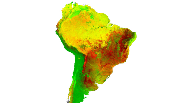 Variabilidade interanual da cobertura vegetal na América do Sul